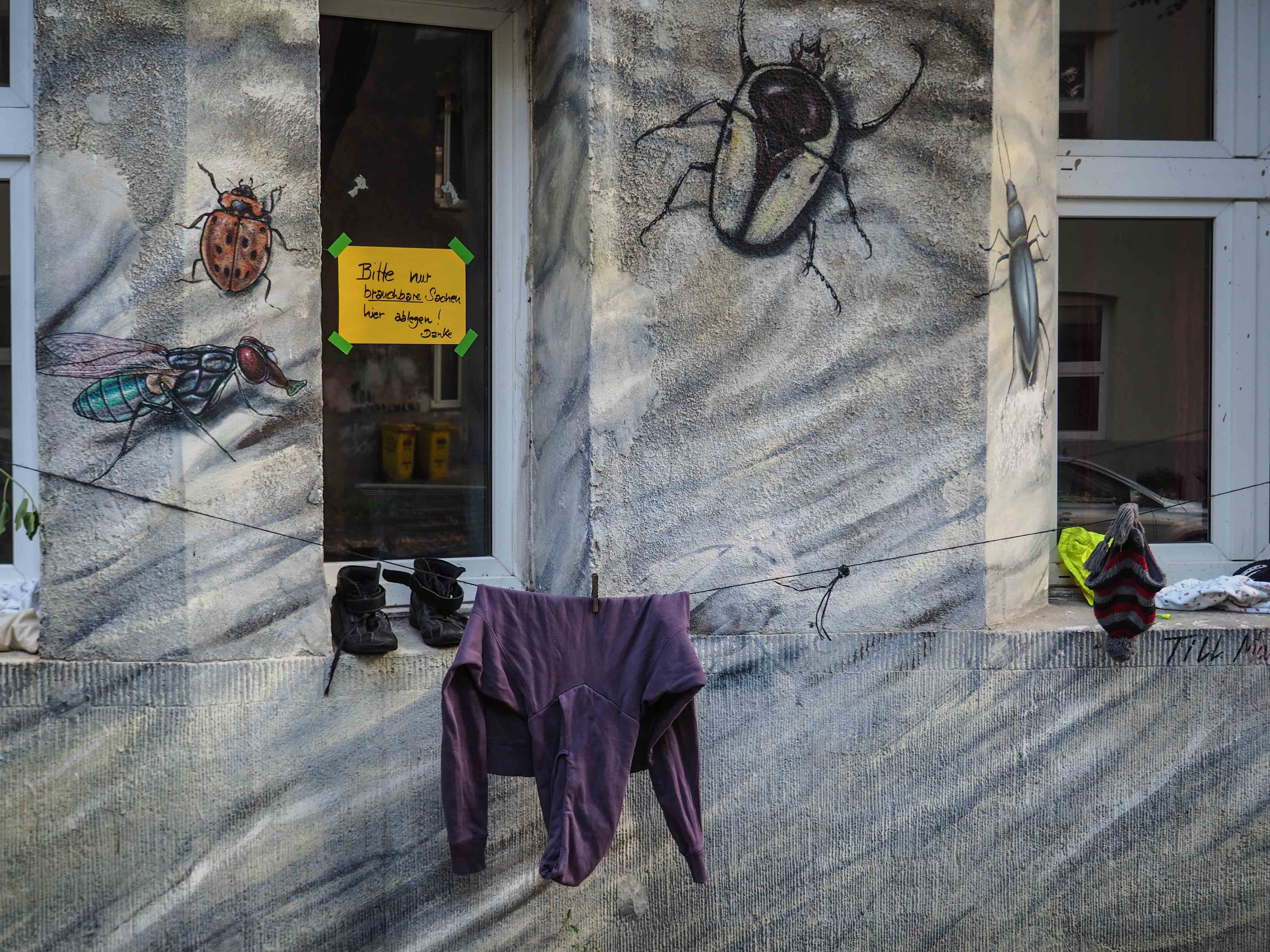 Christian Bolte hat die gesamte Fassade eines Hauses mit Käfern und Insekten bemalt