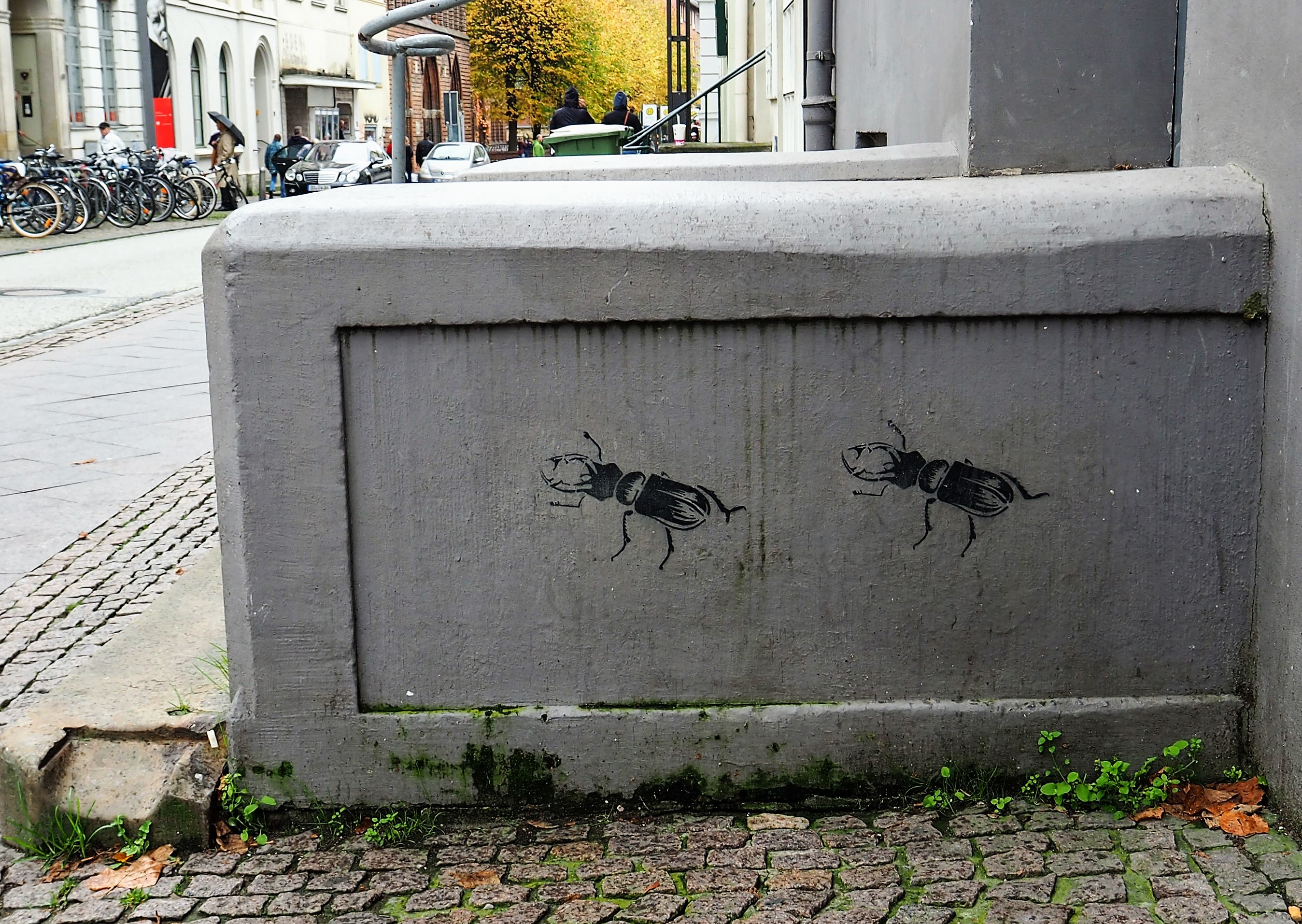 das stencil zeigt zwei Hirschkäfer