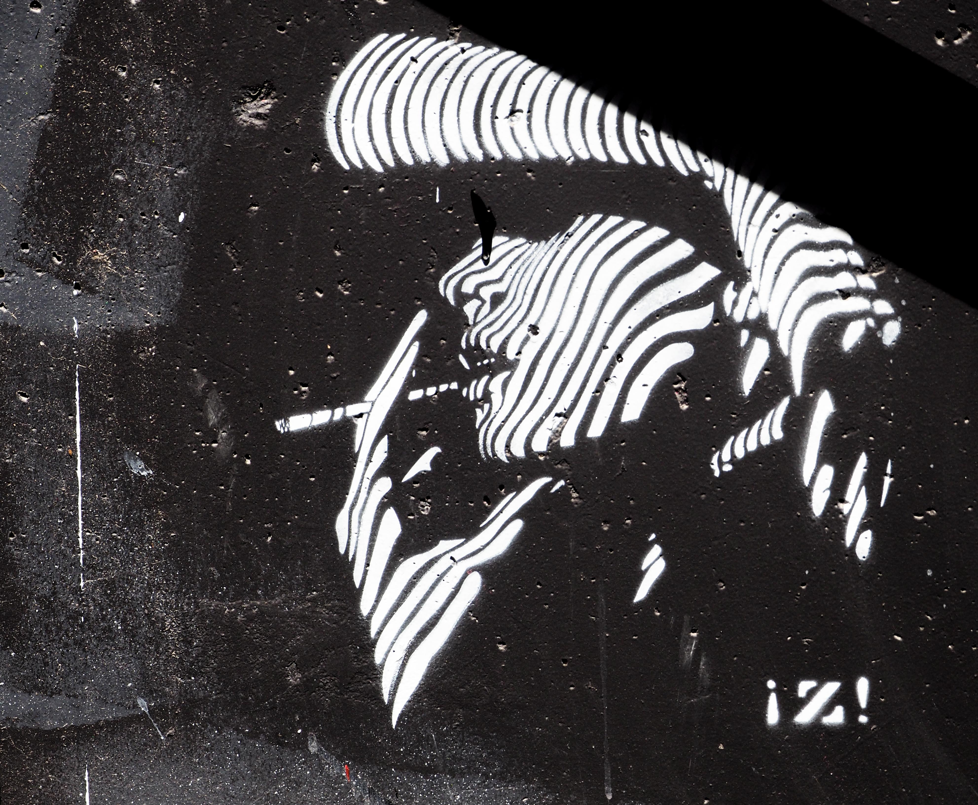 Zebrafrau als Stencil von Zapata