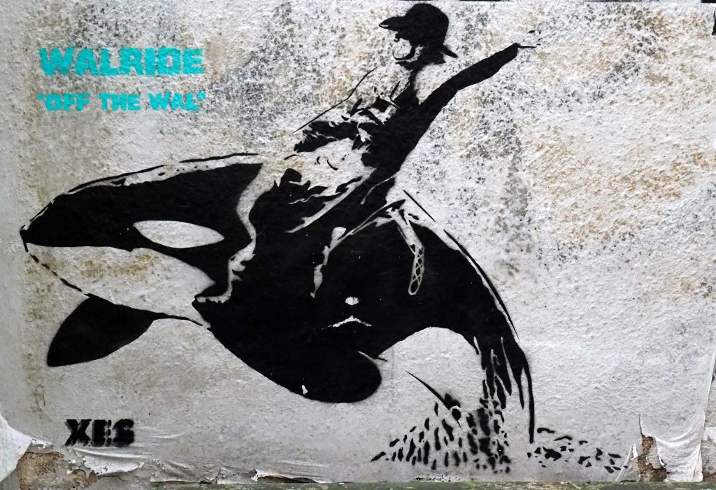 ein Cowboy reitet einen Wal