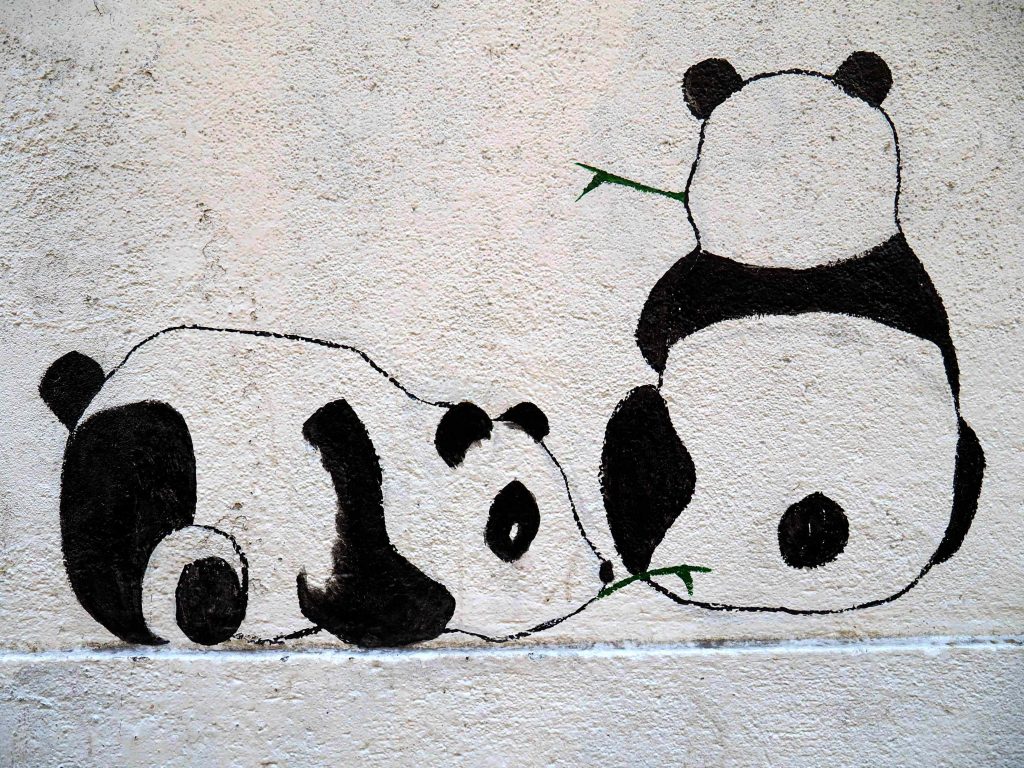 zwei Pandas
