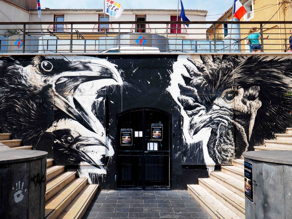 Krähen und ein Hahn