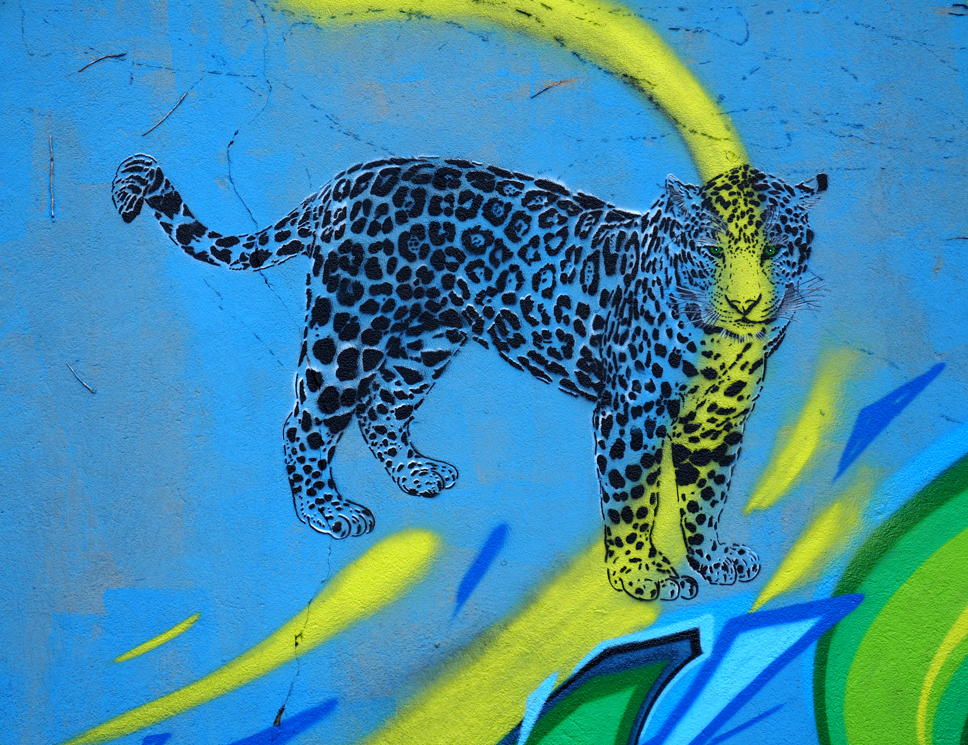 Leopard mit gelbem Streifen